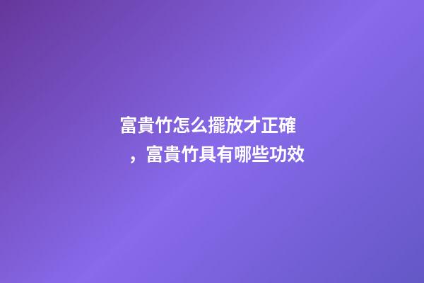 富貴竹怎么擺放才正確，富貴竹具有哪些功效